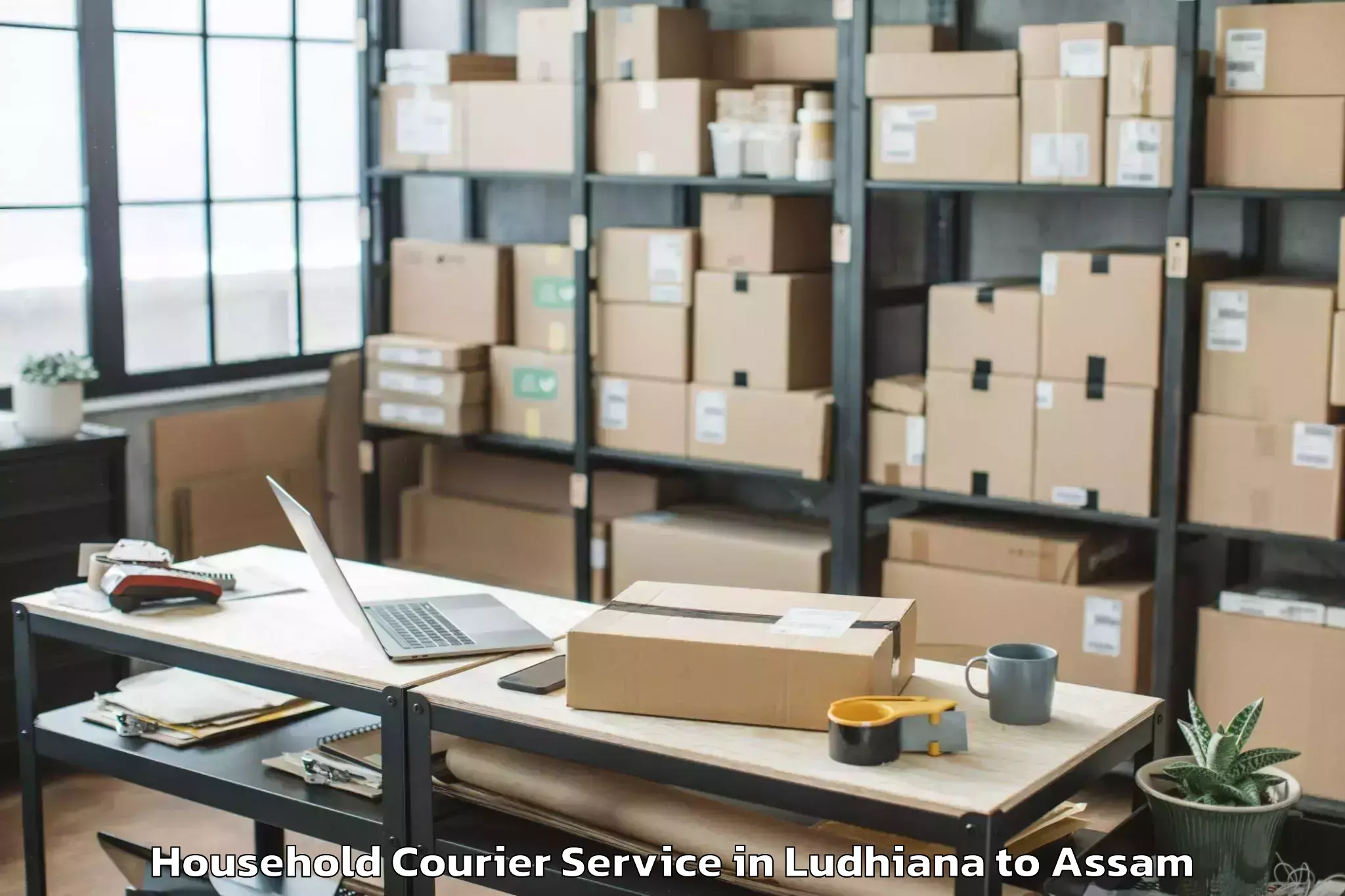 Efficient Ludhiana to Dotma Household Courier